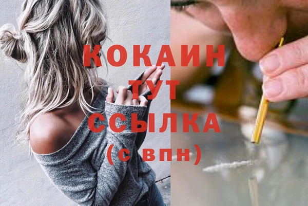 стафф Арсеньев