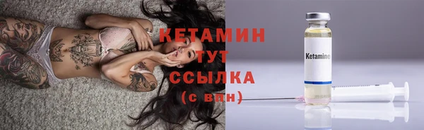 крисы Покачи
