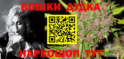 стаф Добрянка