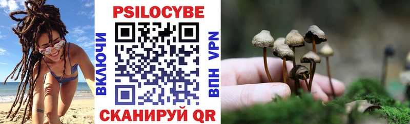купить наркотик  Минусинск  Галлюциногенные грибы мицелий 